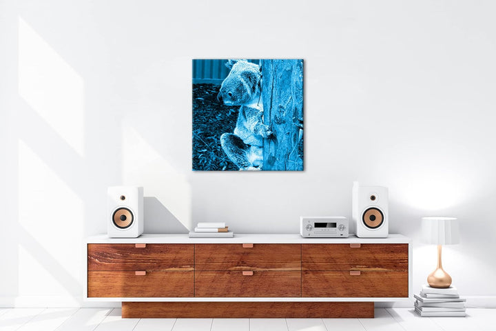 deyoli niedlicher Koala in Australien Format: 70x70 Effekt: Monocrome Blau als Leinwandbild, Motiv f