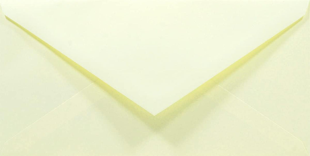 Netuno 100 Briefumschläge Creme DIN lang 110x220 mm 80g Rainbow lange Briefumschläge DL Spitzklappe