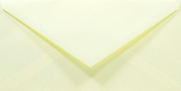 Netuno 100 Briefumschläge Creme DIN lang 110x220 mm 80g Rainbow lange Briefumschläge DL Spitzklappe