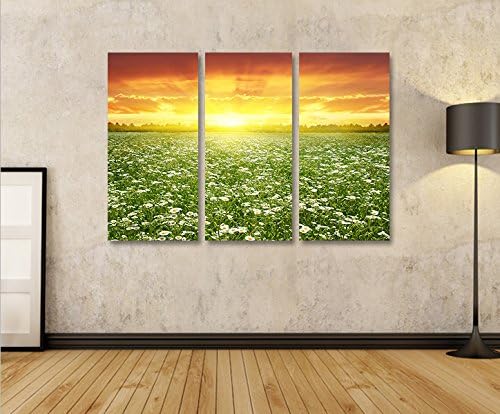 islandburner Bild Bilder auf Leinwand Blumenwiese 3p XXL Poster Leinwandbild Wandbild Art up Your Li