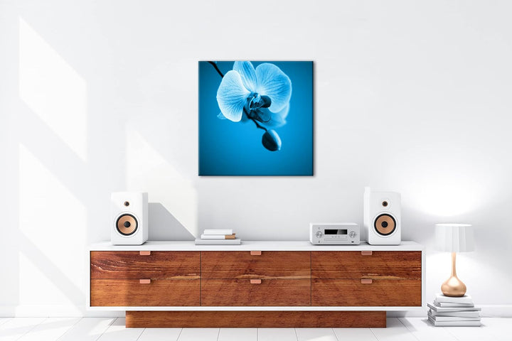 deyoli Zauberhafte Orchidee Format: 70x70 Effekt: Monocrome Blau als Leinwandbild, Motiv fertig gera