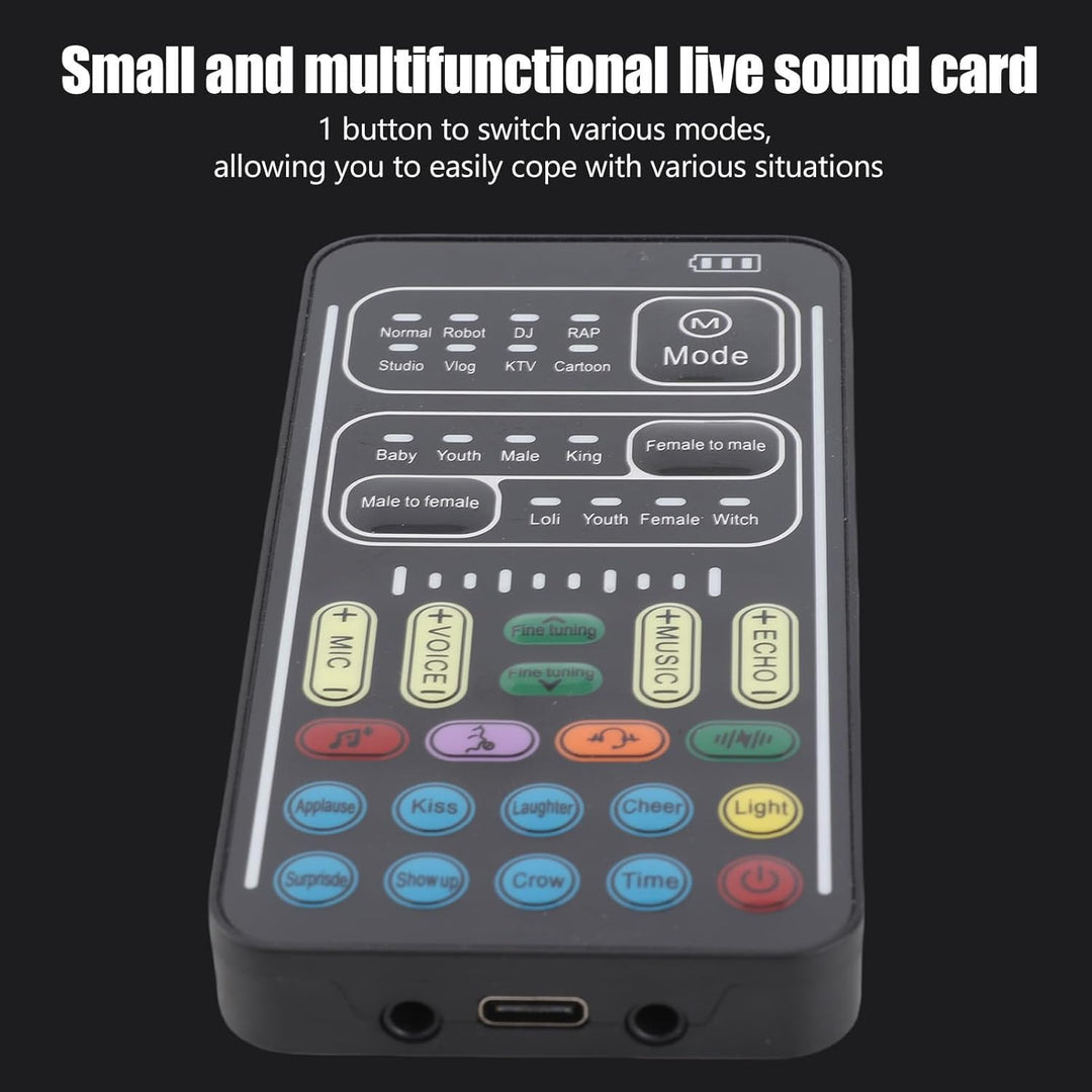 Dpofirs Tragbarer Sprachwechsler, Handheld-Mikrofon-Sprachwechsler mit Sound Multifunktionale Effekt