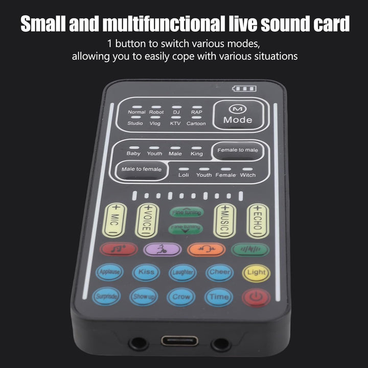 Dpofirs Tragbarer Sprachwechsler, Handheld-Mikrofon-Sprachwechsler mit Sound Multifunktionale Effekt