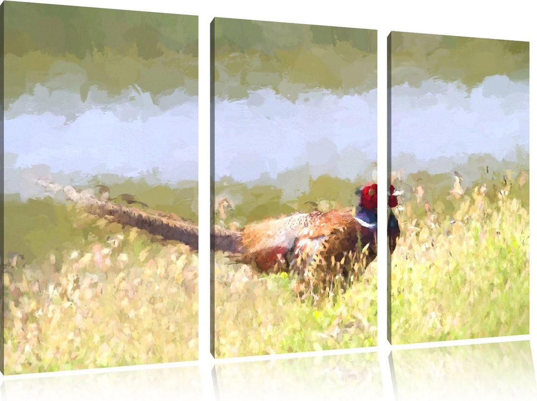 farbenprächtiger Fasan auf Frühlingswiese NewArt 3-Teiler Leinwandbild 120x80 Bild auf Leinwand, XXL
