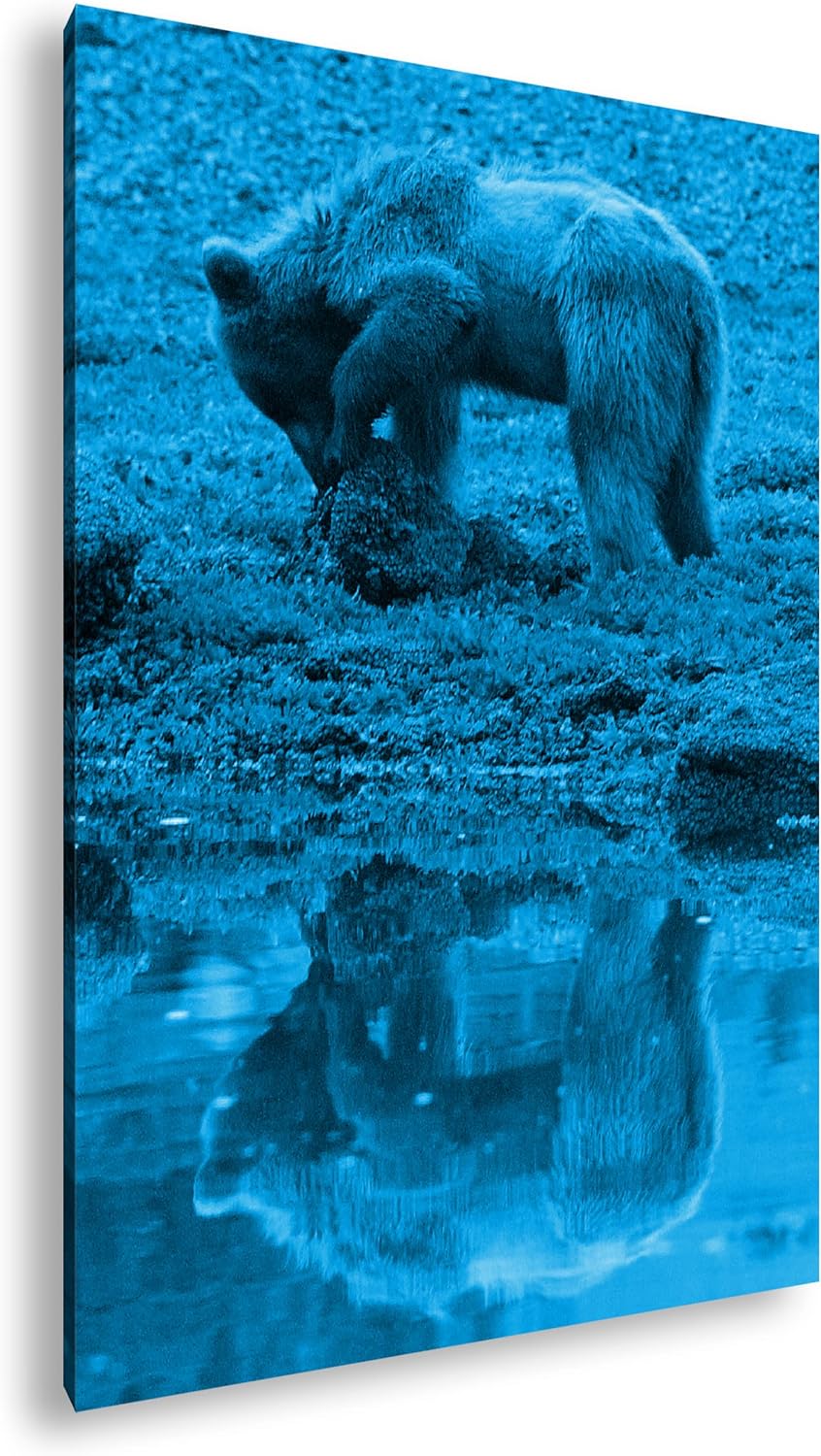 deyoli Verspielter brauner Bär Format 100x70 Effekt: Monocrome Blau als Leinwandbild, Motiv fertig g