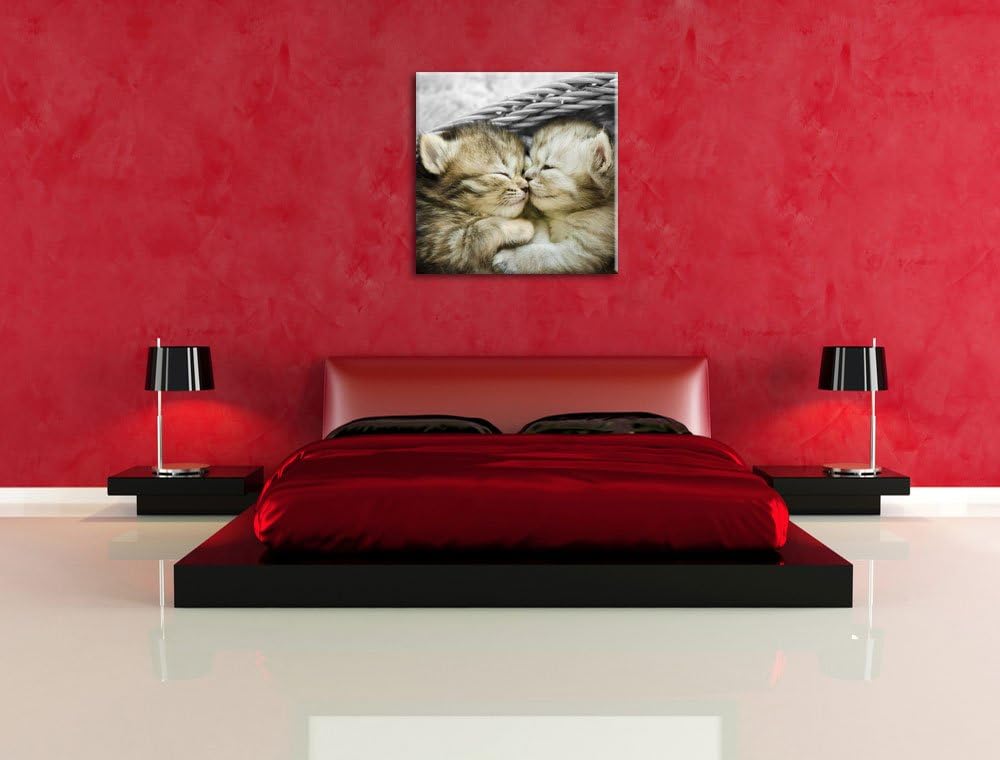 Pixxprint Zwei süsse Babykatzen im Korb als Leinwandbild/Grösse: 70x70 cm/Wandbild/Kunstdruck/fertig