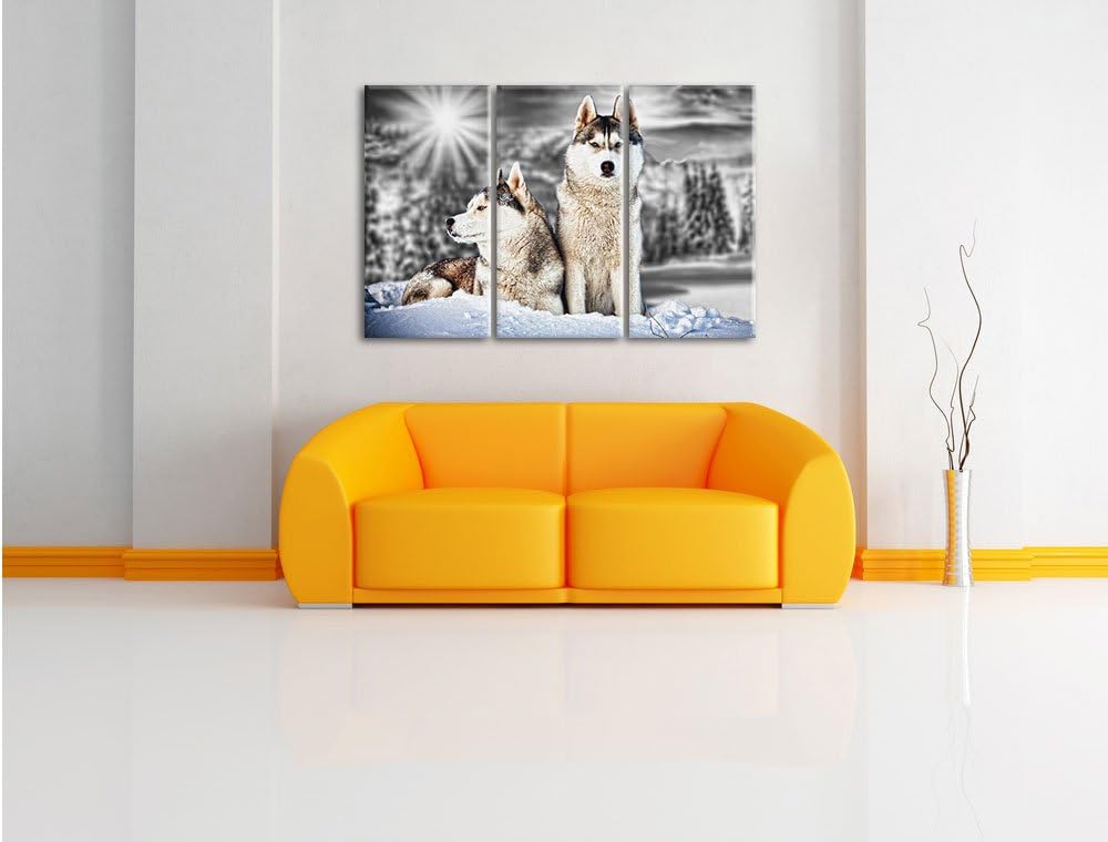 Pixxprint Zwei Wilde Huskies als Leinwandbild/Grösse: 3 Teilig (120x80 cm) cm/Wandbild/Kunstdruck/fe