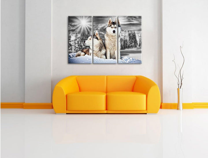 Pixxprint Zwei Wilde Huskies als Leinwandbild/Grösse: 3 Teilig (120x80 cm) cm/Wandbild/Kunstdruck/fe