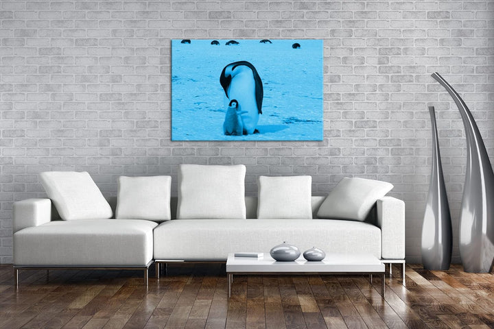 deyoli süsse Kaiserpinguine in der Antarktis Format 60x40 Effekt: Monocrome Blau als Leinwandbild, M
