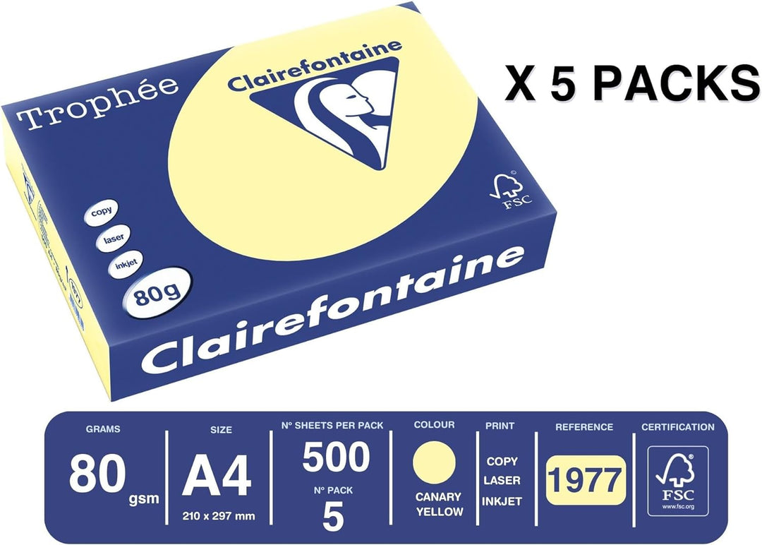 Clairefontaine 1977C - Karton mit 5 Ries Druckerpapier / Kopierpapier Trophee, intensive Farben, DIN