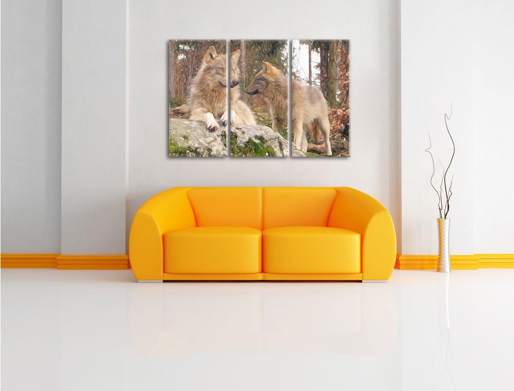 Pixxprint Wölfe im Wald als Leinwandbild/Grösse: 3 Teilig (120x80) / Wandbild/Kunstdruck/fertig besp