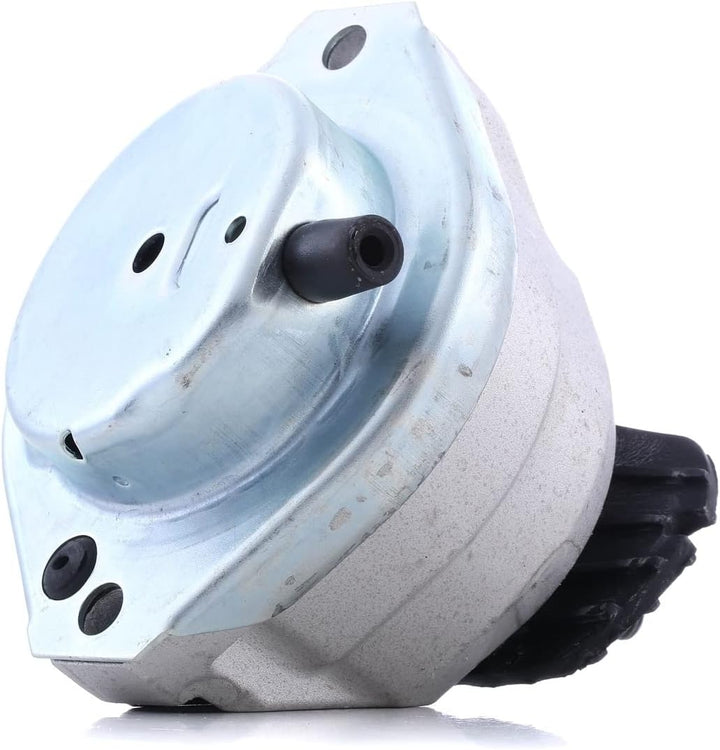 Corteco 80004415 Lagerung, Motor