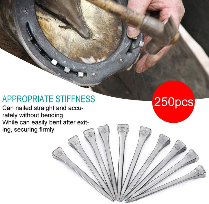 Cikonielf 250Pcs Hufeisen Nägel Stahl Huf Peg Hufeisen Zubehör Fest Hufeisen Nägel Pferd Werkzeug Zu
