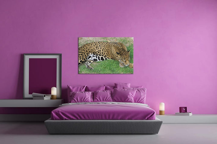 deyoli ruhig liegender Leopard Format: 100x70 als Leinwand, Motiv fertig gerahmt auf Echtholzrahmen,