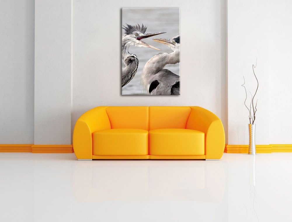 Pixxprint Zankende Vögel, Format: 100x70 auf Leinwand, XXL riesige Bilder fertig gerahmt mit Keilrah
