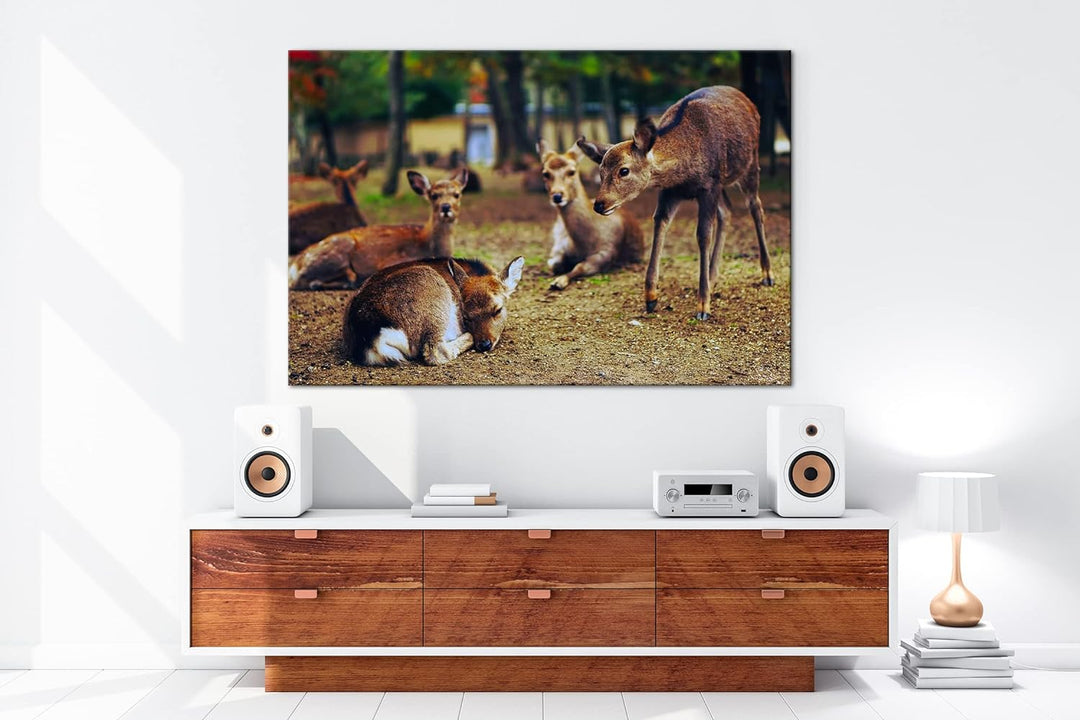 deyoli süsse Rehe im Wildgehege Format: 80x60 als Leinwand, Motiv fertig gerahmt auf Echtholzrahmen,