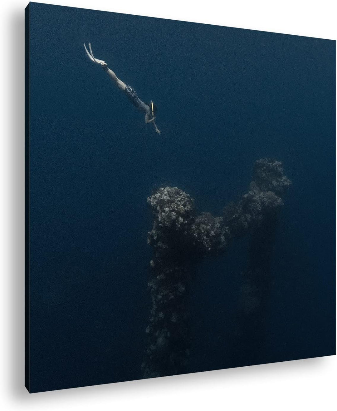 deyoli tiefer Tauchgang zum Meeresgrund Format: 70x70 als Leinwandbild, Motiv fertig gerahmt auf Ech