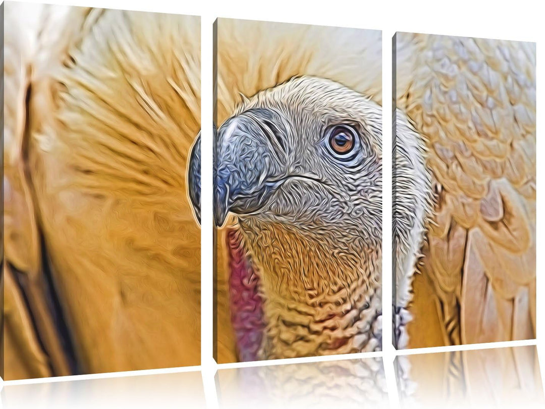 aussergewöhnlicher Geier NewArt 3-Teiler Leinwandbild 120x80 Bild auf Leinwand, XXL riesige Bilder f