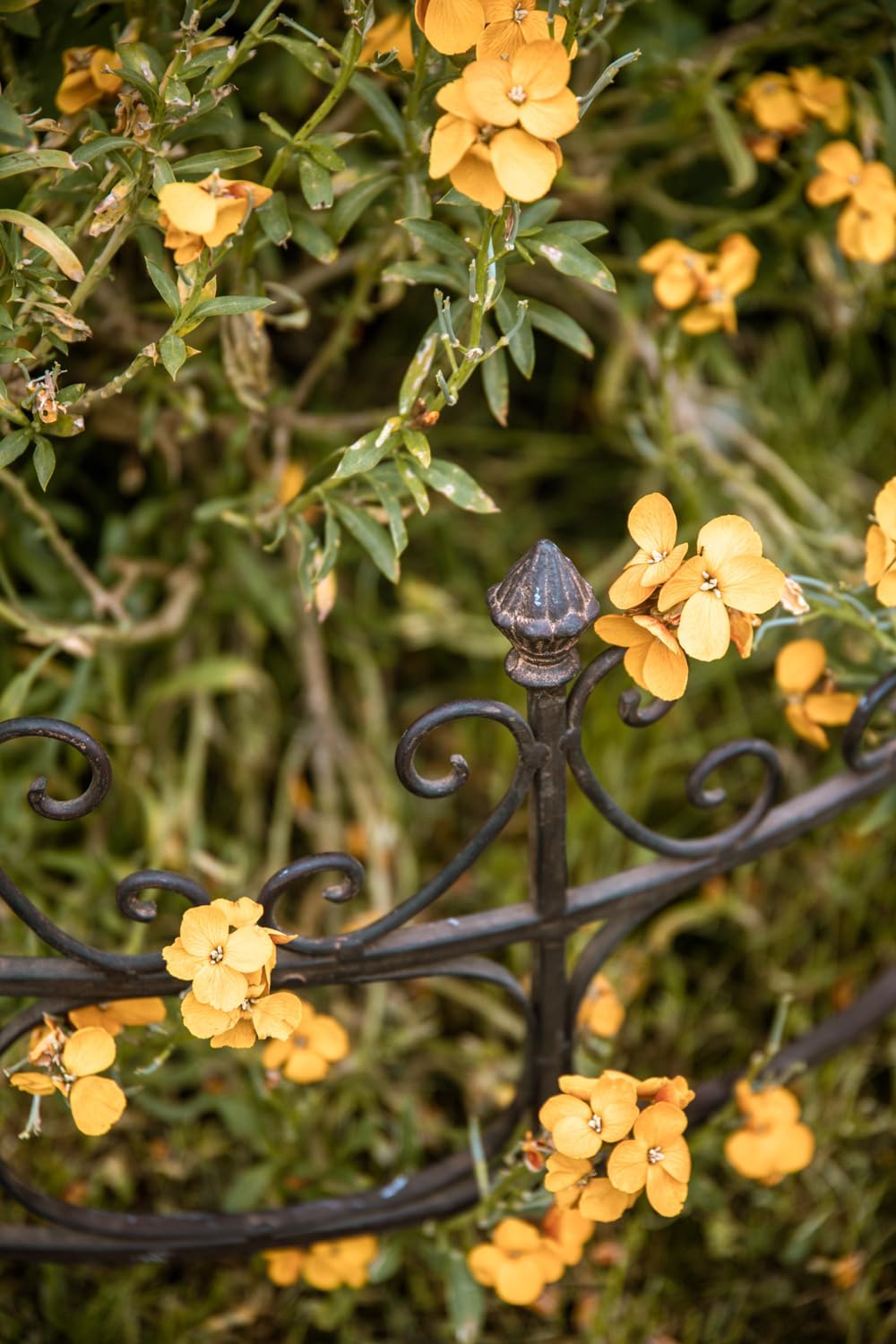 ecosoul Staudenhalter Strauchhalter Gartendeko Rost massiv halbrund Rankhilfe Metall Eisen Rostfarbe