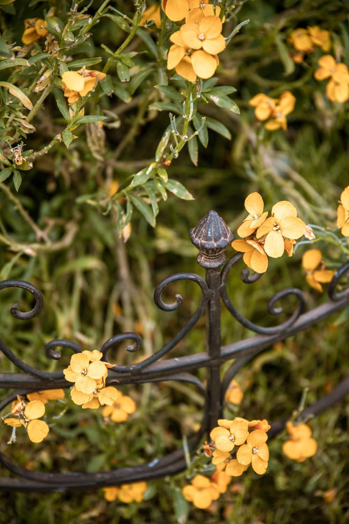 ecosoul Staudenhalter Strauchhalter Gartendeko Rost massiv halbrund Rankhilfe Metall Eisen Rostfarbe