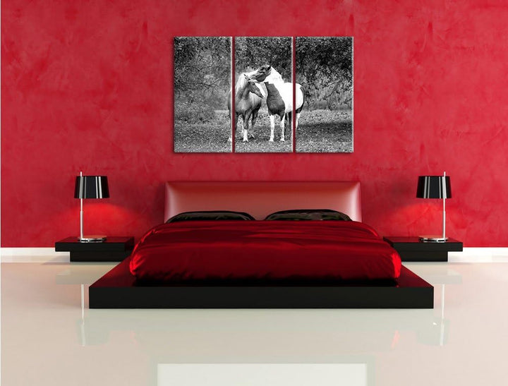 Pixxprint Zwei schmusende Pferde Kunst B&W als Leinwandbild/Grösse: 3 Teilig (120x80) cm/Wandbild/Ku