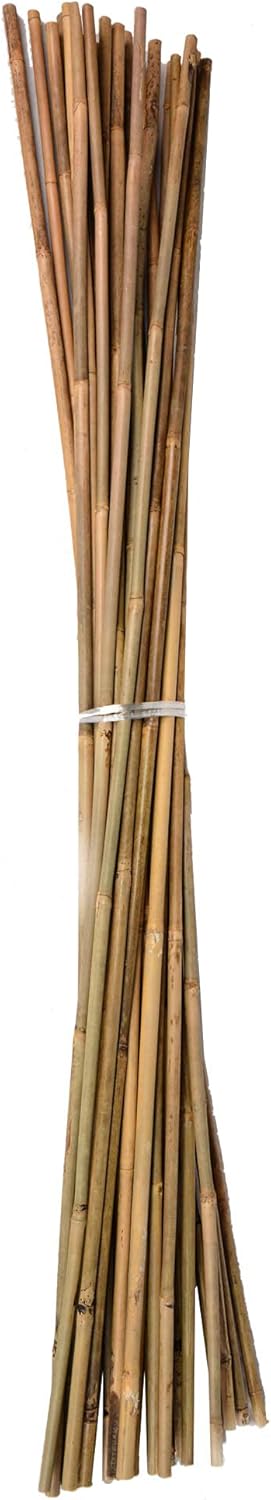 UNUS Bambusstäbe, Pflanzenstäbe zur Stabilisierung von Pflanzen im Garten, Rankstäbe Bambus 120 cm n