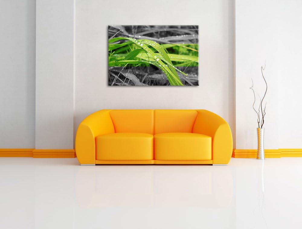 Grashalme im Morgentau schwarz/weiss Format: 100x70 auf Leinwand, XXL riesige Bilder fertig gerahmt