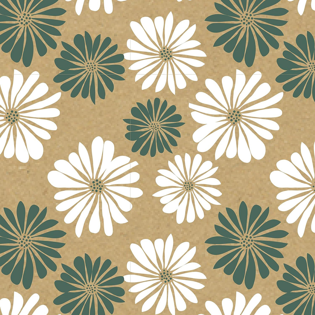 Clairefontaine 223906C - Rolle Geschenkpapier Kraft Naturbraun, 70g, grosse Breite 50x0,70m, ideal z