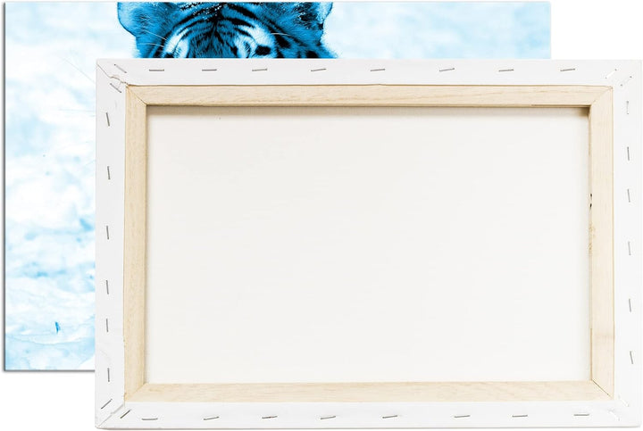 deyoli knurrender Tiger im Schnee Format 80x60 Effekt: Monocrome Blau als Leinwandbild, Motiv fertig