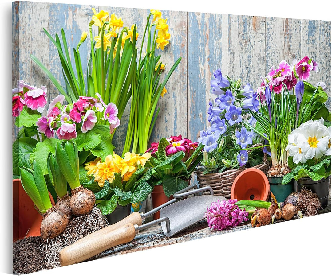 islandburner Bild auf Leinwand Blumengarten Bunte Blumen Töpfe Erde Vor Holzwand Bilder Wandbilder P