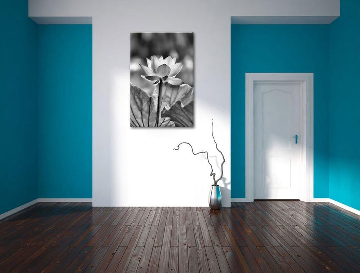 Pixxprint Zarte rosafarbener Lotus als Leinwandbild/Grösse: 100x70 / Wandbild/Kunstdruck/fertig besp