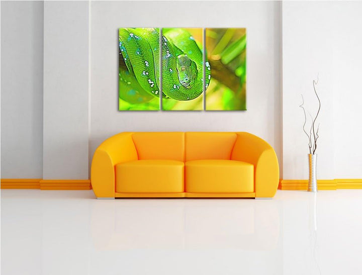 Grüne giftige Baumschlange Spezial 3-Teiler Leinwandbild 120x80 Bild auf Leinwand, XXL riesige Bilde