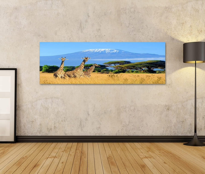 islandburner Bild auf Leinwand Drei Giraffen Nationalpark Kenia Kilimanjaro Berg Hintergrund Afrika