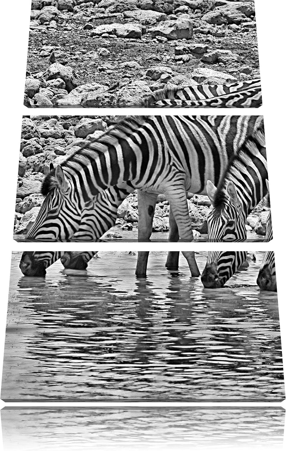 Pixxprint Zebraherde am Wasserloch als Leinwandbild/Grösse: 3 Teilig (120x80) cm/Wandbild/Kunstdruck