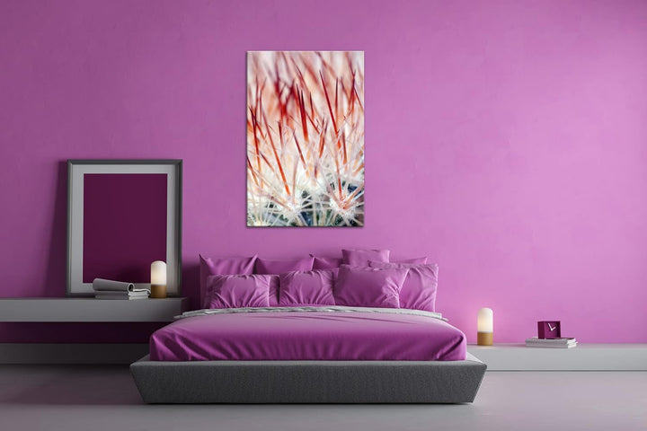 deyoli Nadeln eines Kaktus Format: 80x60 als Leinwand, Motiv fertig gerahmt auf Echtholzrahmen, Hoch