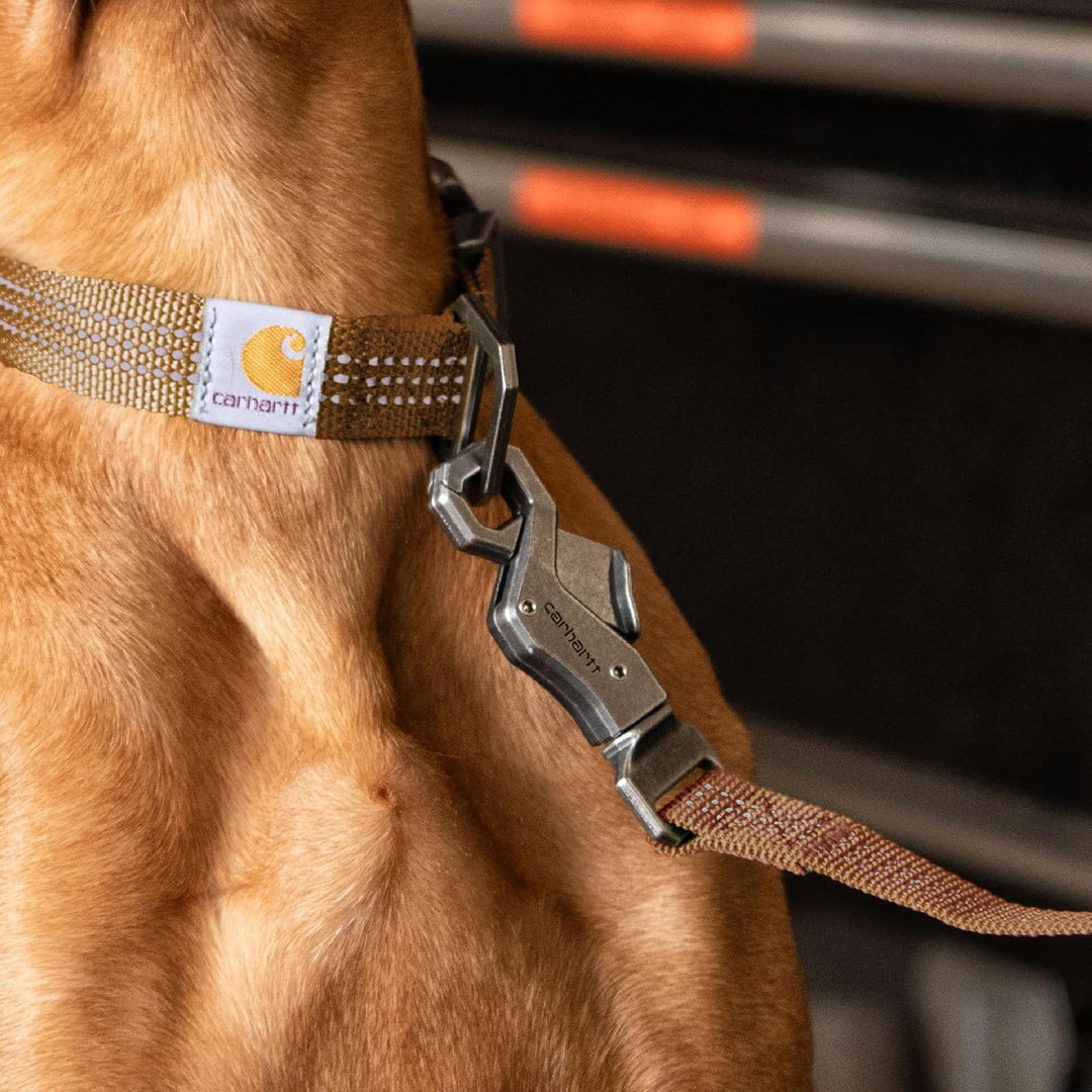 Carhartt Hunde Leine Tradesman, Schwarz, L, P000346822 Schwarz/Messing gebürstet L, Schwarz/Messing