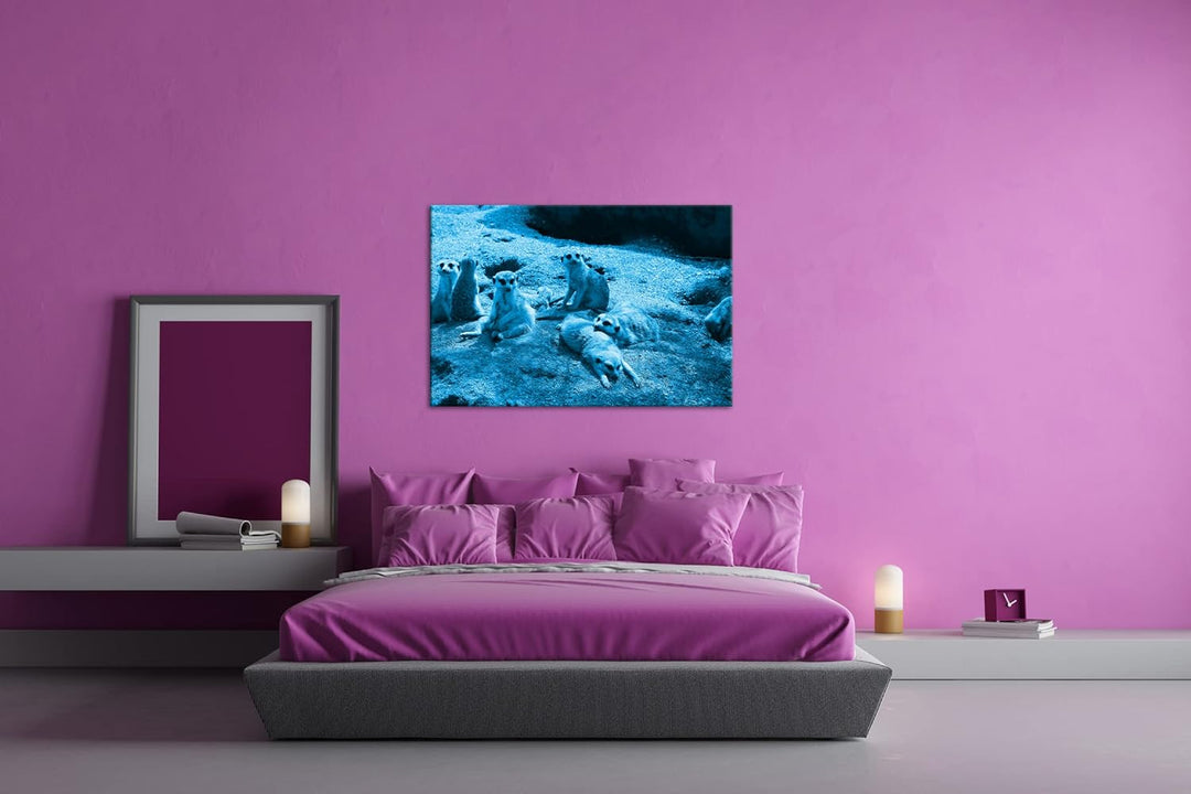 deyoli niedliche Erdmännchen Familie Format 80x60 Effekt: Monocrome Blau als Leinwandbild, Motiv fer
