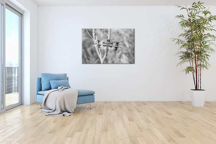 deyoli zauberhafte Drachen Libelle Format: 80x60 Effekt: Schwarz&Weiss als Leinwandbild, Motiv ferti