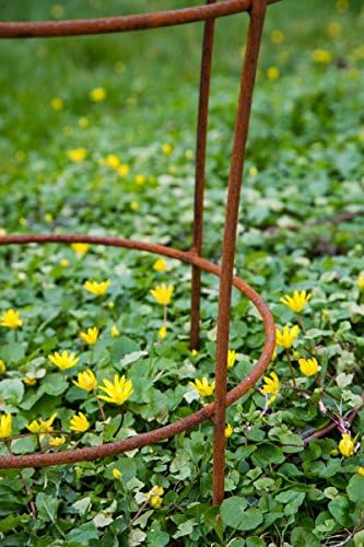 KUHEIGA Stabiler Staudenhalter Rost H: 80cm, Volleisen Strauchhalter, Rankgerüst,