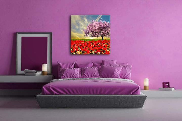 deyoli Kirschbaum im Tulpen Feld Format: 70x70 als Leinwandbild, Motiv fertig gerahmt auf Echtholzra
