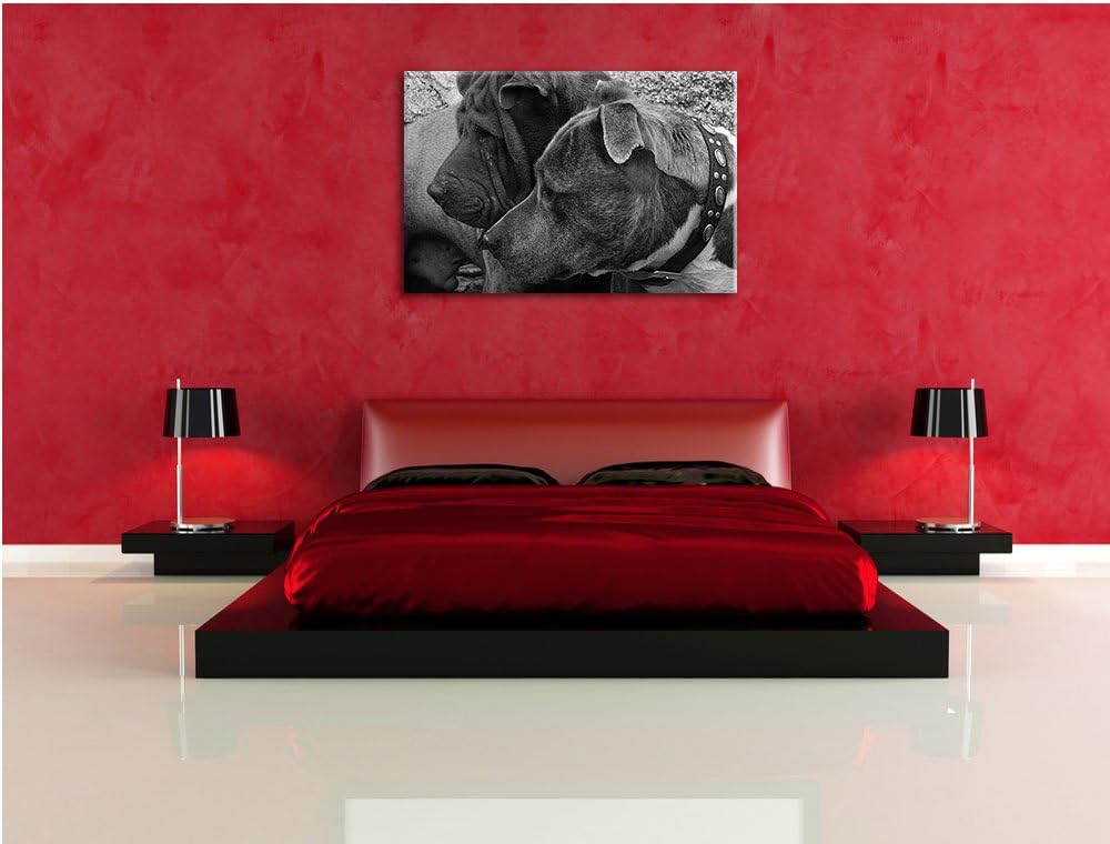 Pixxprint Zwei Hunde im Profil auf Leinwand, XXL riesige Bilder fertig gerahmt mit Keilrahmen, Kunst