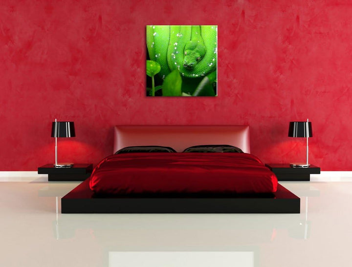Grüne elegante Schlange, Format: 70x70 auf Leinwand, XXL riesige Bilder fertig gerahmt mit Keilrahme