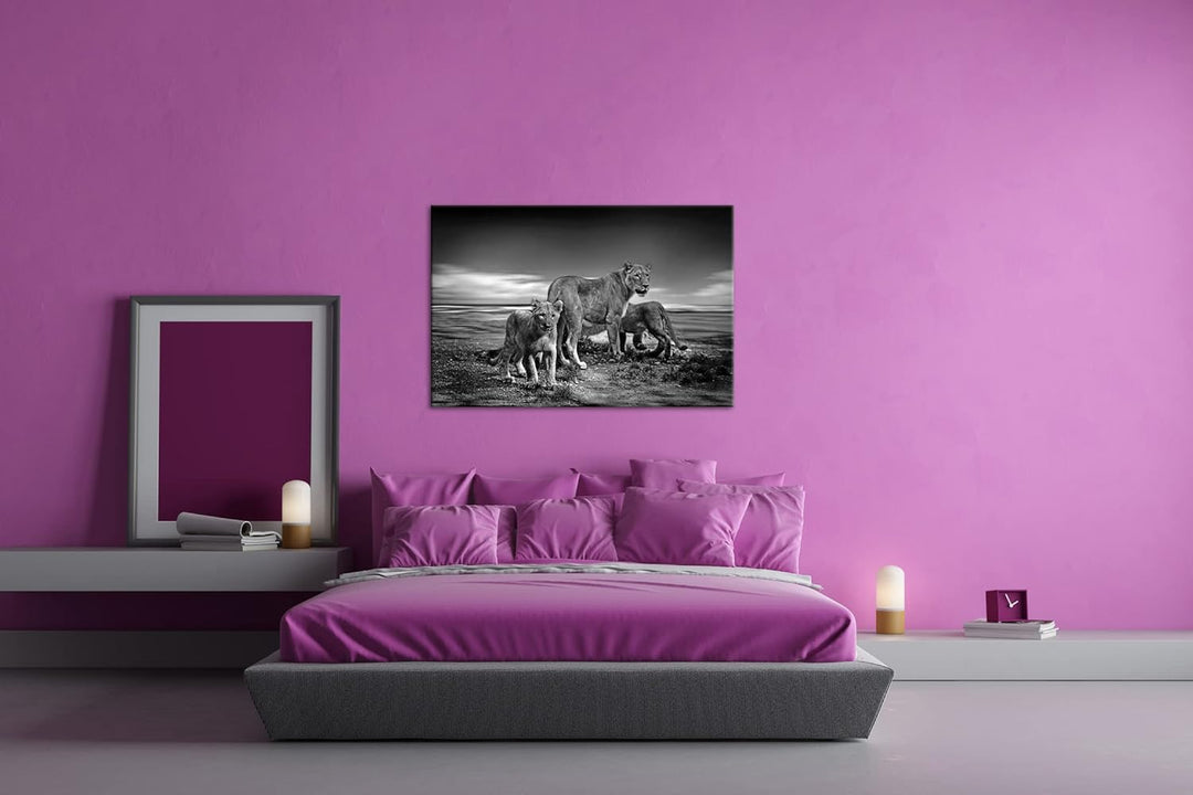 deyoli zauberhafte Löwenfamilie Format: 60x40 Effekt: Schwarz&Weiss als Leinwandbild, Motiv fertig g