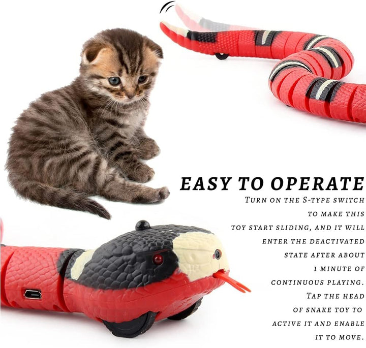 Spielzeugschlange Katze, XiXiRan Schlangenspielzeug Elektrisches, Katzenspielzeug Schlange Usb, Schl