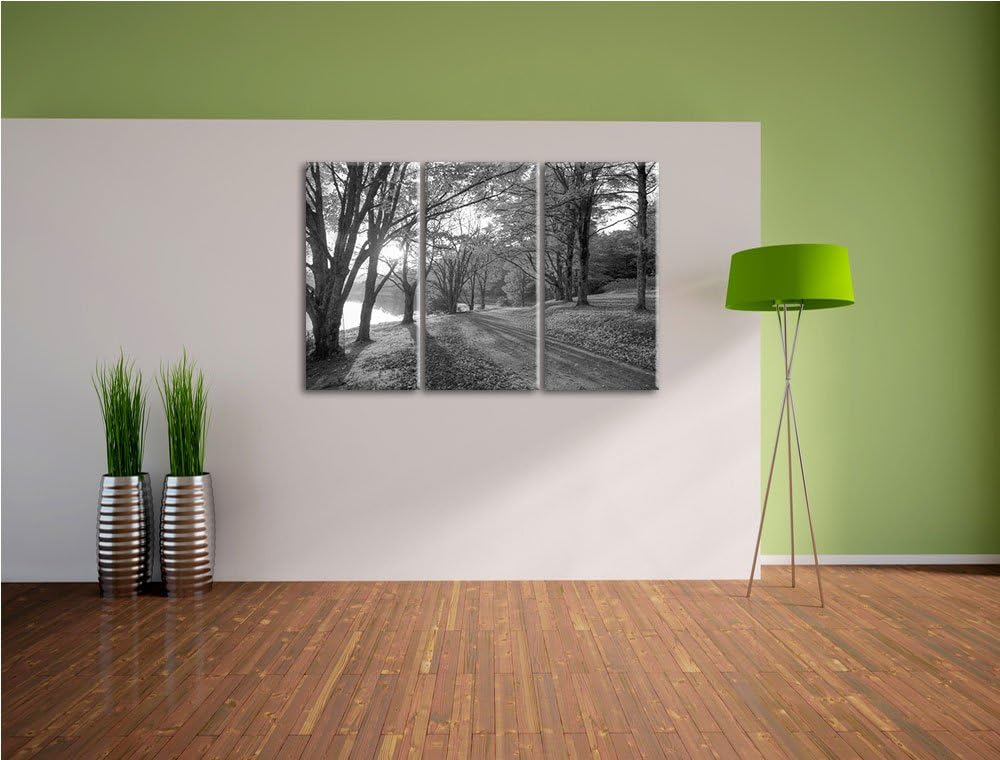 Herbstlicher Park am See schwarz/weiss 3-Teiler Leinwandbild 120x80 Bild auf Leinwand, XXL riesige B