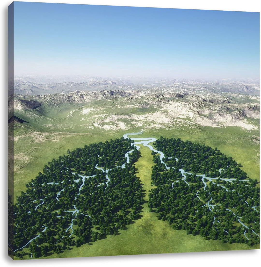 Grüne Lunge der Natur, Format: 70x70 auf Leinwand, XXL riesige Bilder fertig gerahmt mit Keilrahmen,