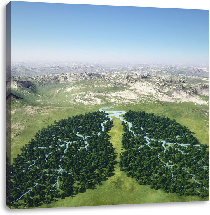 Grüne Lunge der Natur, Format: 70x70 auf Leinwand, XXL riesige Bilder fertig gerahmt mit Keilrahmen,