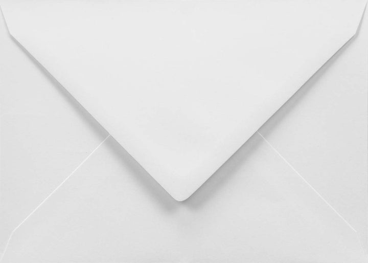 Netuno 500x Briefumschlag Weiss DIN C6 11,4 x 16,2 cm 100g Weiss Papier-Umschlag C6 nassklebend ohne
