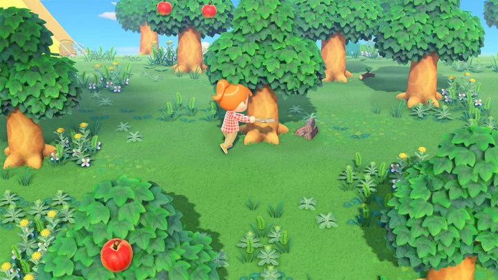 Unbekannt Animal Crossing : New Horizont, Niederländische Version