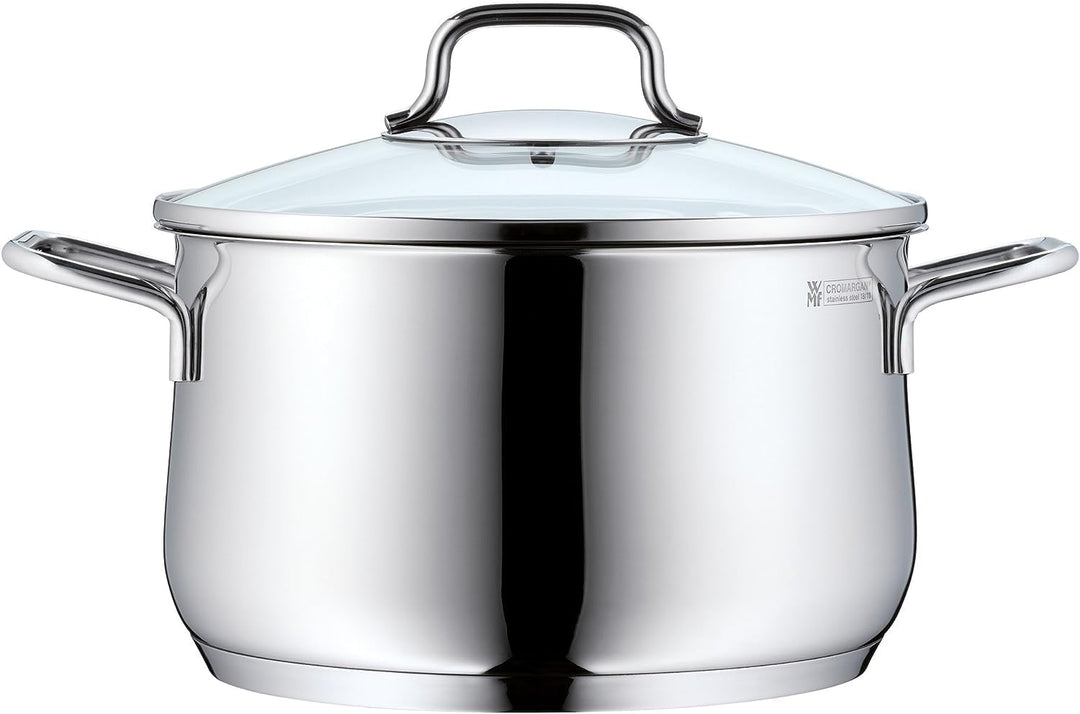 WMF Brilliant Kochtopf gross 24cm, Glasdeckel, Fleischtopf Induktion 6,5l, Cromargan Edelstahl satin